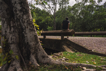wellness concept with asian man exercise with tree in park on summer season