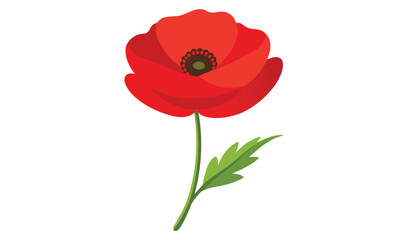Single red poppy flower with green leaf