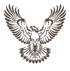 sketch illustration of an eagle spreading its wings elegantly