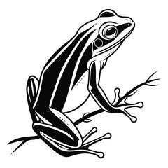 silhouette frog on white background