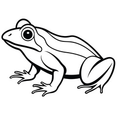 silhouette frog on white background