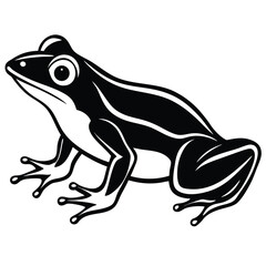 silhouette frog on white background