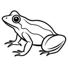 silhouette frog on white background