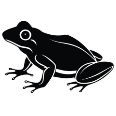 silhouette frog on white background