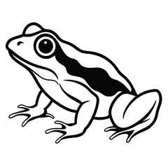 silhouette frog on white background