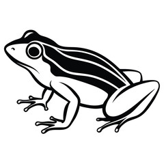 silhouette frog on white background