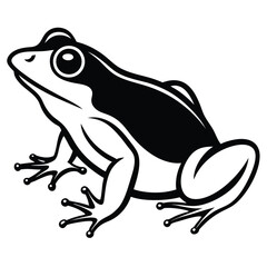 silhouette frog on white background