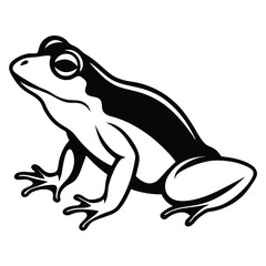 silhouette frog on white background