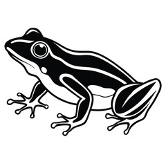 silhouette frog on white background