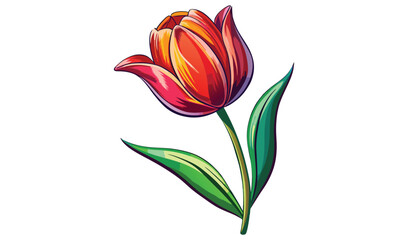 Vibrant red and orange tulip flower illustration