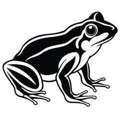 silhouette frog on white background