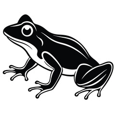 silhouette frog on white background