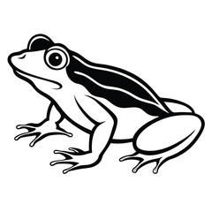 silhouette frog on white background