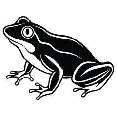 silhouette frog on white background