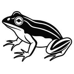 silhouette frog on white background