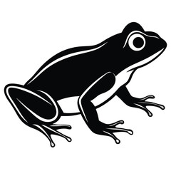 silhouette frog on white background