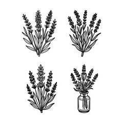 Lavender SVG