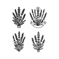 Lavender SVG