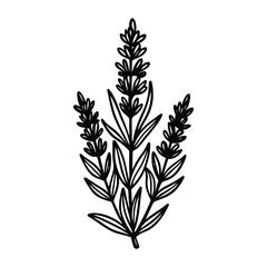 Lavender SVG