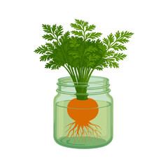 Carrot Top Growth: Green Sprouts in Water