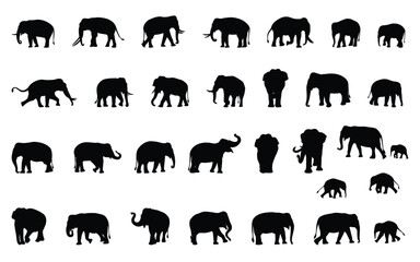 Set of elephant silhouettes in different poses separated. Vector illustration.
