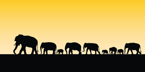 Fototapeta premium Silhouette of a graceful herd of Asian elephants walking together. Vector illustration.
