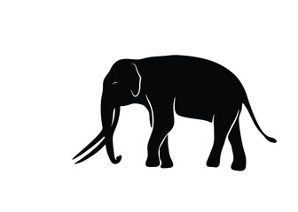 Silhouette of a graceful Asian male elephant. Big body with long tusks. Vector illustration.