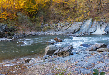 riverbed, a journey to the sources and unexplored places of wildlife