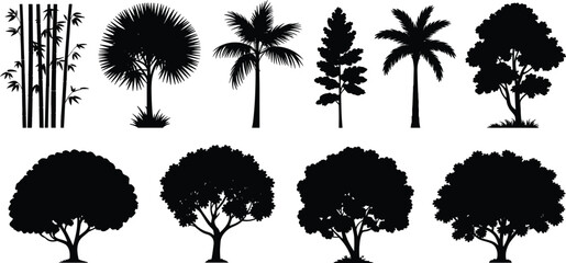 Set of tropical and forest tree silhouettes, palm, bamboo, deciduous, black vector illustration for landscape, garden, nature, and design use
