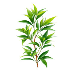 Obraz premium Lush Green Tropical Plant Branch with Vibrant Leaves Perfect for Nature Designs