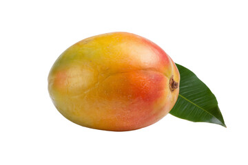 ripe mango fruit with leaf isolated on white background.