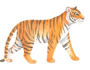 Obraz premium Watercolor tiger profile