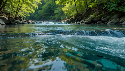 Wild River Winding Through Forest Landscape