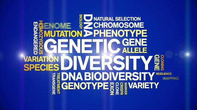 Genetic Diversity animated word cloud;text design animation tag kinetic typography seamless loop.