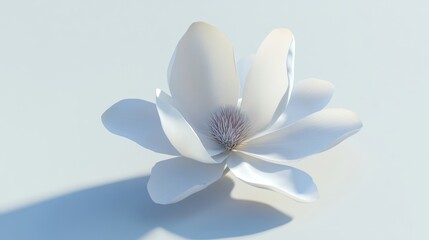 Serene Magnolia Bloom: A Study in White