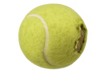 Close-up of a worn tennis ball with visible damage, isolated on a transparent background, highlighting the concept of aging and usage in sports equipment