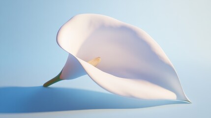 Serene Calla Lily: A Minimalist Floral Study