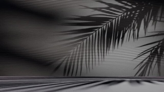 Palm leaf shadows on ribbed black wall and floor. Minimalist background scene. Tropical summer and vacation concept. Design for wallpaper, banner, header, poster. Front view with copy space