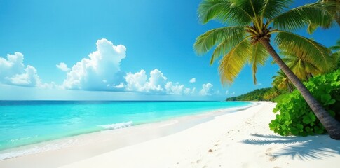 Fototapeta premium White sand beach, turquoise water, palm trees, horizon, crystal, waves