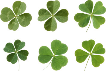 さまざまな四葉のクローバー