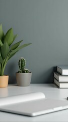 Cacti on desk with stacked papers and blank surface in minimalist workspace setting