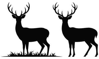 silhouette of deer