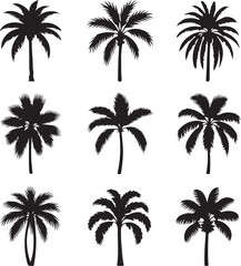Silhouette Collection of Nine Palm Tree Variations


