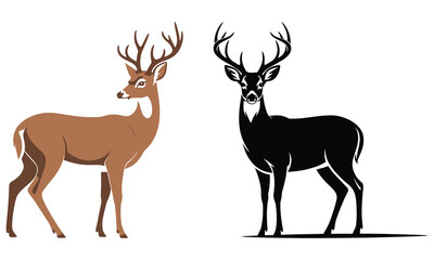 deer vector illustration