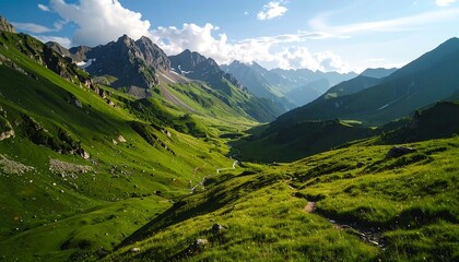 Fototapeta premium Alpine valley bathed in sunlight