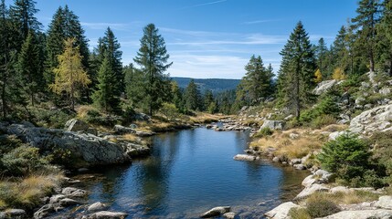 Serene mountain lake nestled amongst towering trees.