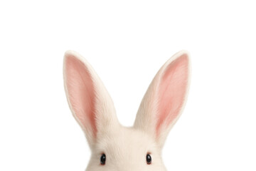 Fototapeta premium White fluffy easter bunny peeking, large ears extended, transparent background highlighting playful seasonal charm