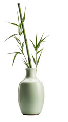 Fresh green bamboo plant with leaves in a white vase isolated on a transparent background. PNG