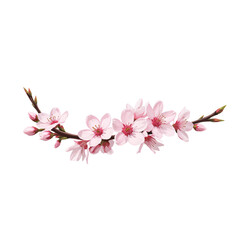 Obraz premium A realistic cherry blossom branch with delicate pink flowers on a white background, high detail.