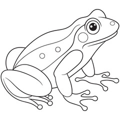 Bullfrog Line Art Illustration Perfect For Kids Coloring Book Pages